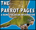 The Parrot Pages